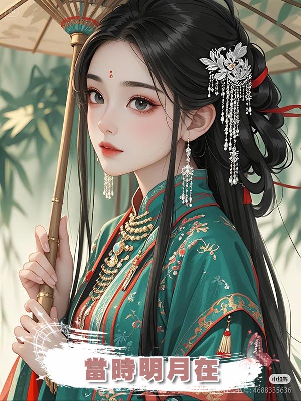 當時明月在
