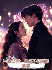 一胎雙喜:顧總不按套路追妻
