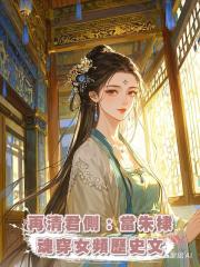 再清君側:當朱棣魂穿女頻歷史文