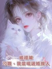 婚禮被刁難,我當場退婚攆人